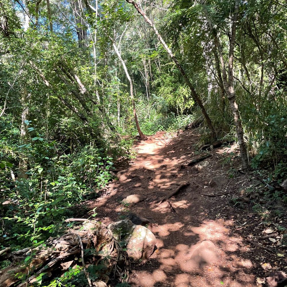 Sleeping Giant Trail - Hiking Near Me - Kapaa, Hawaii