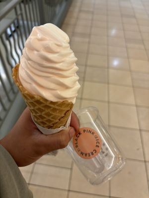 Hillsdale Shopping Center by null