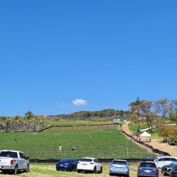Stehly Farms Organics