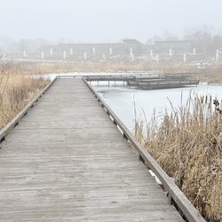 Scioto Audubon Metro Park - Boardwalk and marsh ponds area