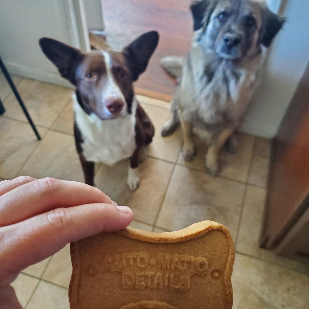 Pups say thanks Page! Pups say thanks Page!