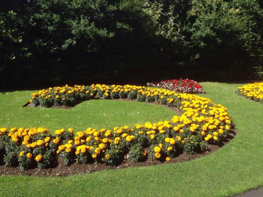 Duthie Park by null