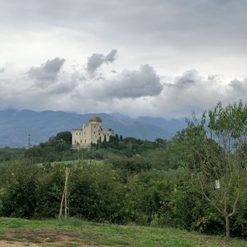 Il Canniccio - Wine Bars Near Me - Reggello, FI