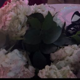 Weeks old hydrangeas dry and dry in parts of the flower. Weeks old hydrangeas dry and dry in parts of the flower.