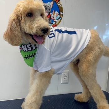 Wally's Wag & Wash - Pet Groomers Near Me