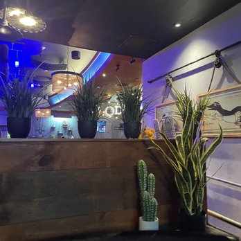Xaco Taco - Mexican Near Me - Providence, Rhode Island