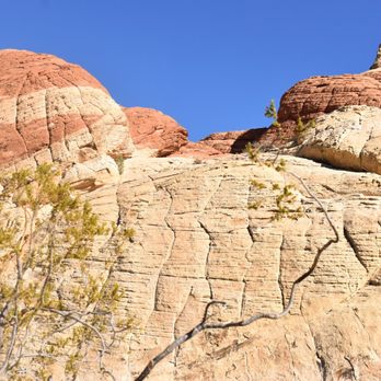 Sandstone Quarry - Hiking Near Me - Las Vegas, Nevada Sandstone Quarry - Hiking Near Me - Las Vegas, Nevada