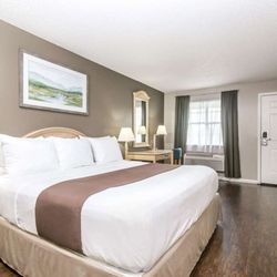Super 8 by Wyndham Madison - 1 King Bed Room