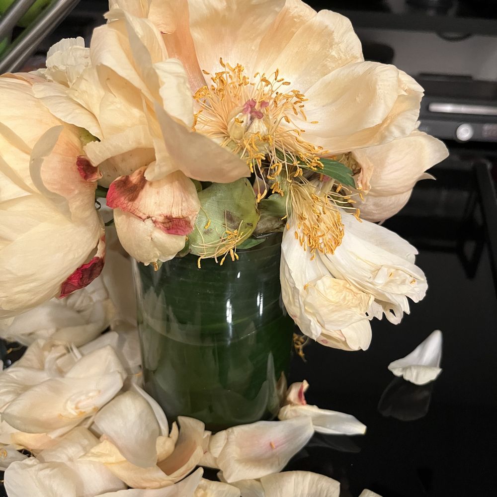 Casey's Flower Studio - 12:30pm on Sunday May 9th 26 at 12:30pm MOTHERS DAY!!!!!!!! - Florists Near Me - New York, New York Casey's Flower Studio - 12:30pm on Sunday May 9th 26 at 12:30pm MOTHERS DAY!!!!!!!! - Florists Near Me - New York, New York