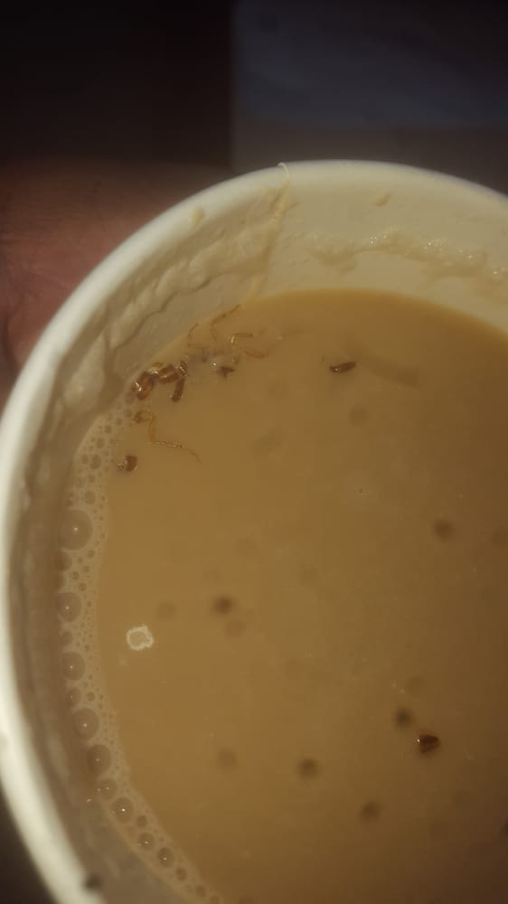 WAKEFIELD DELI Updated August 2024 857 E 241st St, Bronx, New York