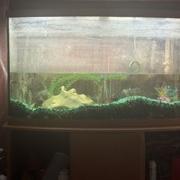 I weird dirty fish tank half filled with no fish.