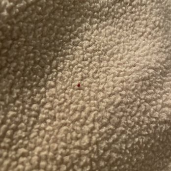 Fireside Lodge - A TINY ASS BABY BED BUG - Hotels Near Me - Big Bear Lake, California Fireside Lodge - A TINY ASS BABY BED BUG - Hotels Near Me - Big Bear Lake, California