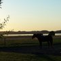 Photo of Bed & Breakfast auf einer Farm in Ölsted
