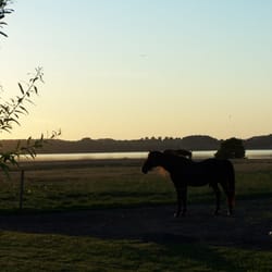Bed & Breakfast auf einer Farm in Ölsted