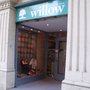 Willow