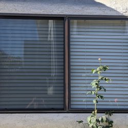 Wang the Handyman 王師傅