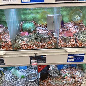 PetSmart - Hamsters/gerbils with lots of hay, and pigs with hardly any or even no hay at all. - Pet Stores Near Me - Skokie, Illinois