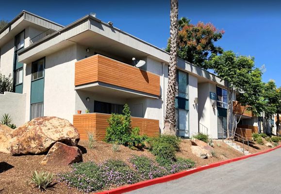 Trolley Palm by null