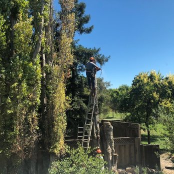 Fast Response Tree Service - Tree Services Near Me - Folsom, California