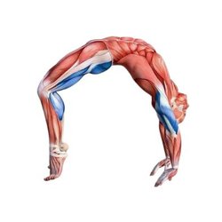 Athletic Recovery Spa