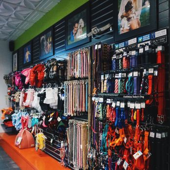 PJ Noah PetSalon - Pet Groomers Near Me - Costa Mesa, California