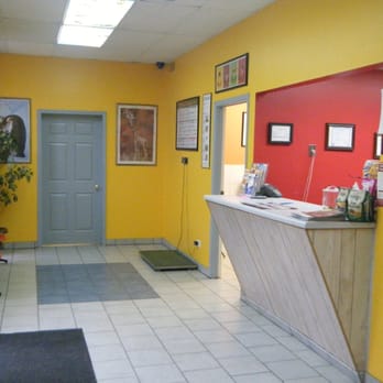 Chicago Pet Clinic