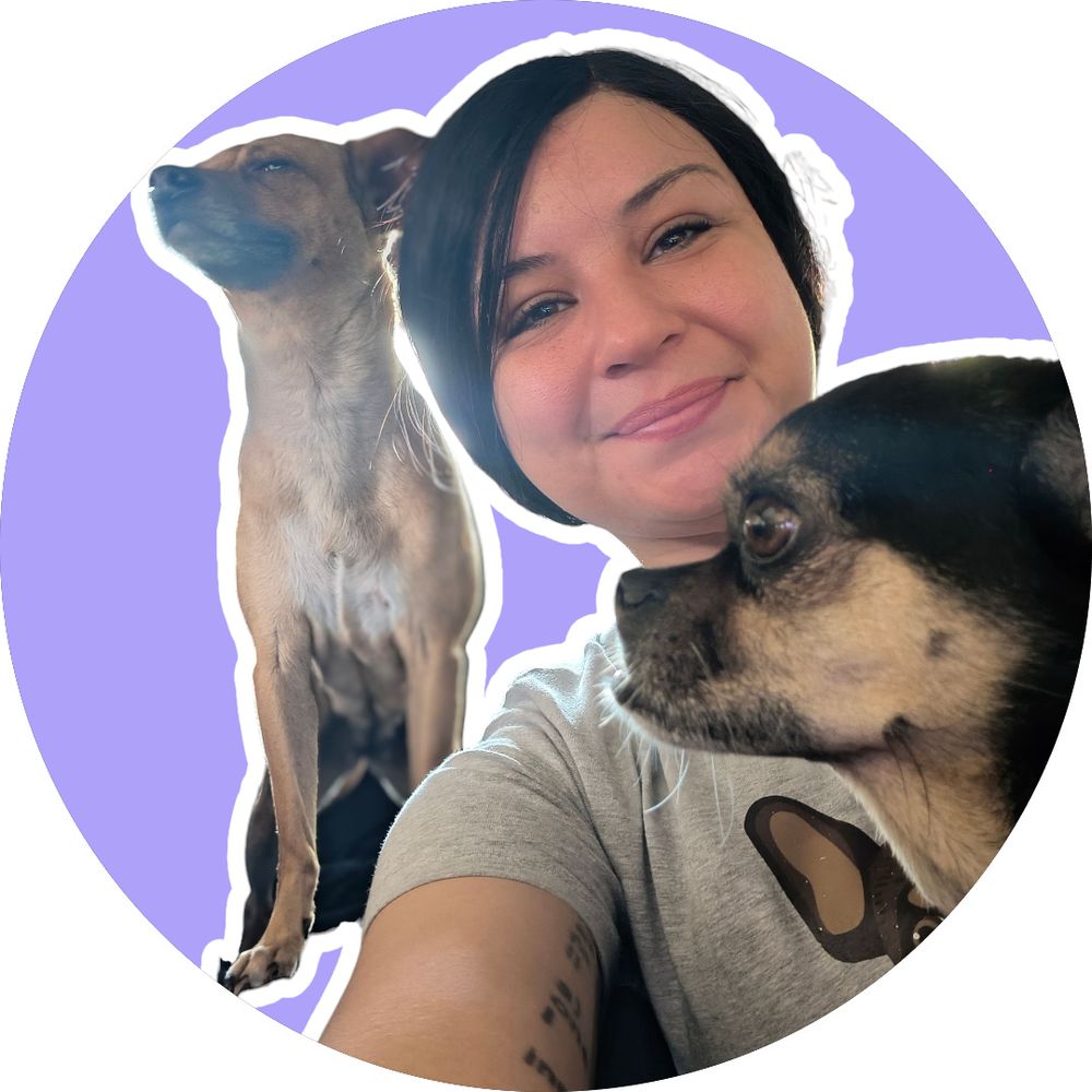 Heart & Paws Senior Pet Care - pet boarding facility in Lakeland, TN