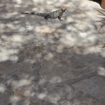 Xel-Há - Amusement Parks Near Me - Tulum, ROO