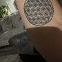 Photo of Enchanted Ink Tattoo Gallery