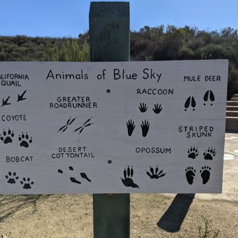 Blue Sky Ecological Reserve - Animals of Blue Sky - Hiking Near Me - Poway, California
