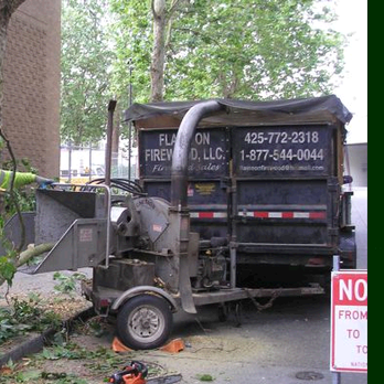 Bruiser's Tree Service - Tree Services Near Me