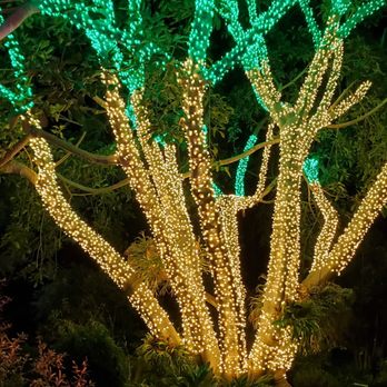 Lightscape San Diego - Botanical Gardens Near Me - Encinitas, California Lightscape San Diego - Botanical Gardens Near Me - Encinitas, California