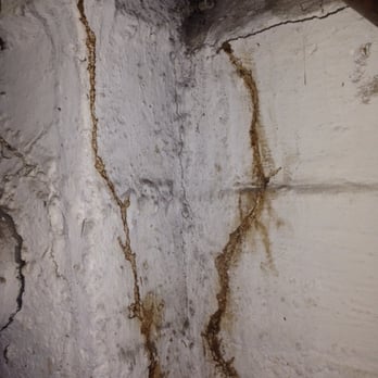 Prestige Pest Management LLC - Termite mud tubes found in a boiler room - Pest Control Near Me - Jamaica, New York Prestige Pest Management LLC - Termite mud tubes found in a boiler room - Pest Control Near Me - Jamaica, New York