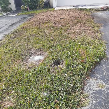 Sam’s Tree Service - Tree Services Near Me - Miami, Florida