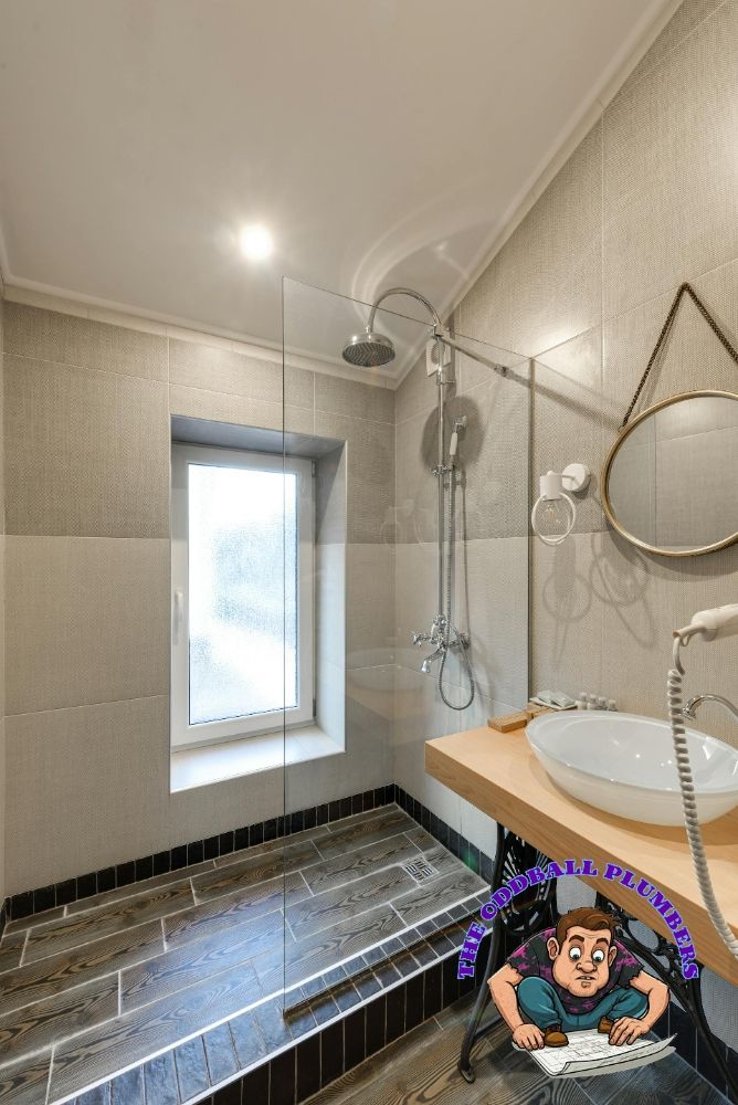 Slide of The OddBall Plumbers