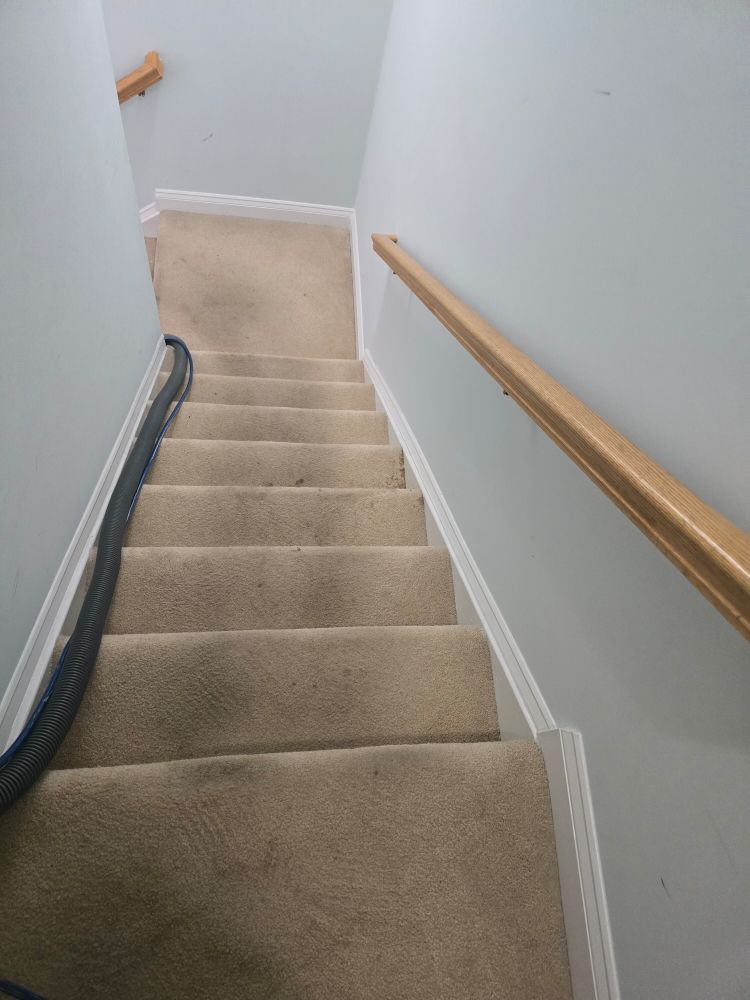 A2Z Action Carpet Cleaning & Repairs