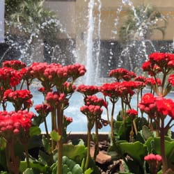 Las Palmas del Pilar - Jardines