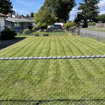 Nw Lawn Services - Mow and edging in South Seattle - Lawn Services Near Me Nw Lawn Services - Mow and edging in South Seattle - Lawn Services Near Me