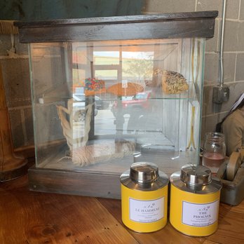 Lucy's snackbar - Pastries also available - Coffee & Tea Near Me - Corpus Christi, Texas