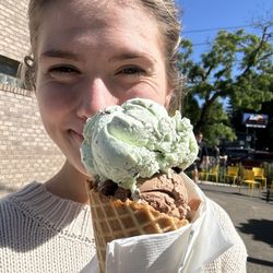 Prince Puckler's Gourmet Ice Cream - Ice cream cone