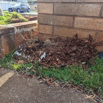 Hapa Landscaping - Mess left in front - Landscaping Near Me - Honolulu, Hawaii