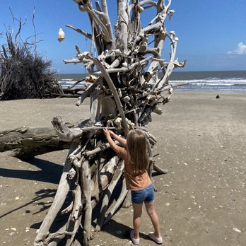 Botany Bay Plantation - Parks Near Me - Edisto Island, South Carolina