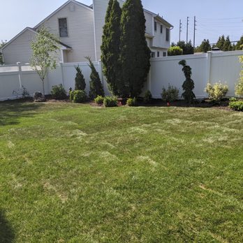 59 & Pine - a backyard with a fenced in yard - Excavation Services Near Me