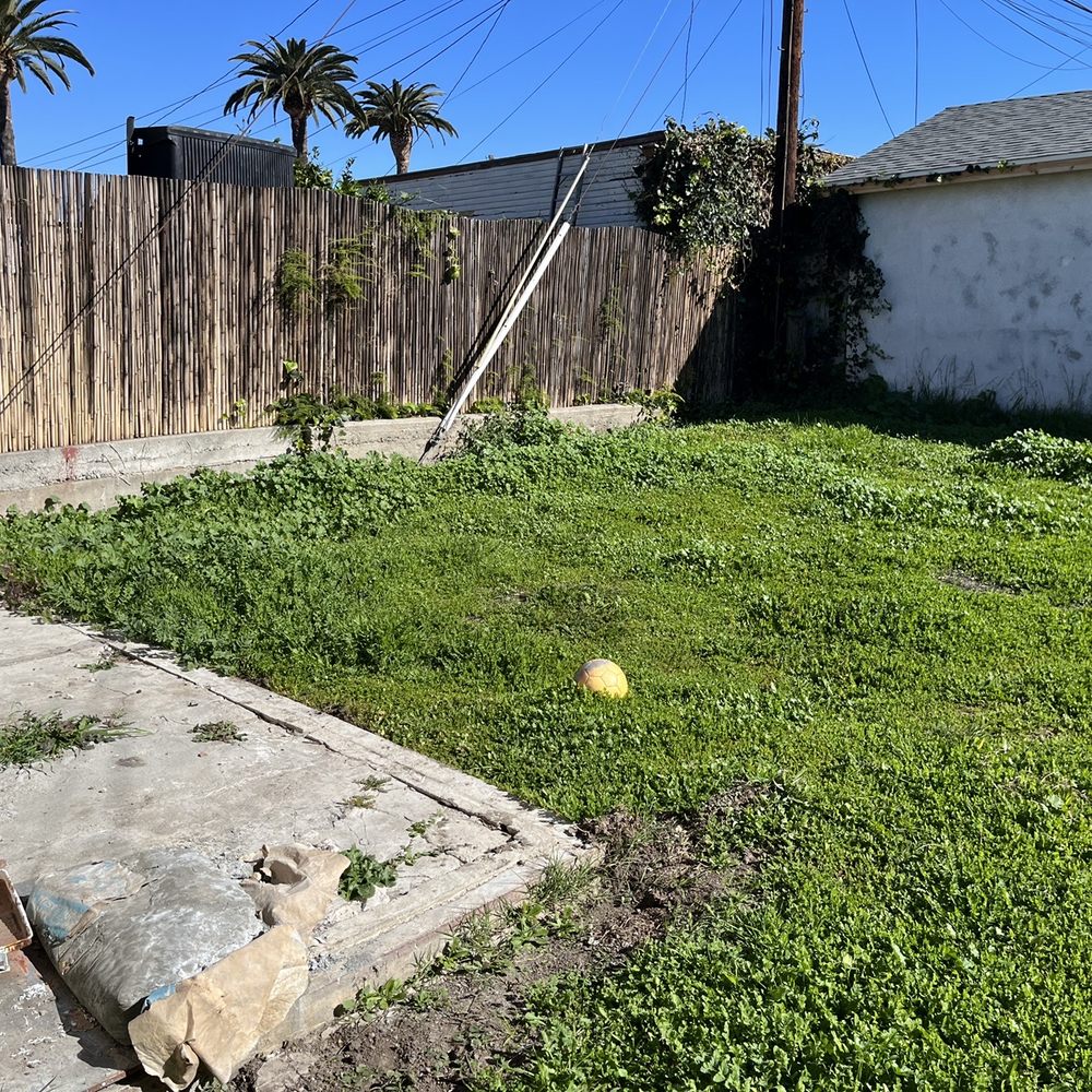 M Flores Landscape - Backyard BEFORE - Landscaping Near Me - Inglewood, California M Flores Landscape - Backyard BEFORE - Landscaping Near Me - Inglewood, California