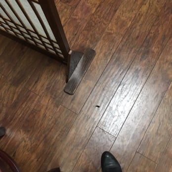 Chosun Ok - Beetle that the owner just kicked towards our table. - Korean Near Me - Durham, North Carolina Chosun Ok - Beetle that the owner just kicked towards our table. - Korean Near Me - Durham, North Carolina