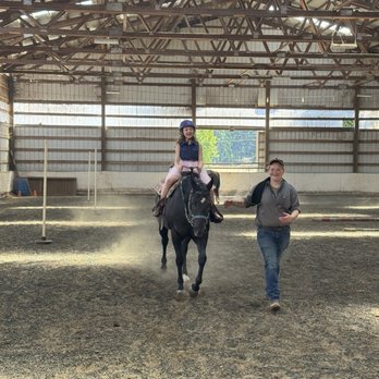 Amythyst Preformance Horses - Pet Training Near Me - Oregon City, Oregon Amythyst Preformance Horses - Pet Training Near Me - Oregon City, Oregon