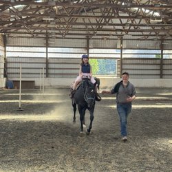 Amythyst Preformance Horses