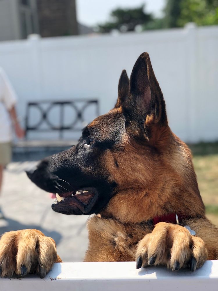 TAIL GATE Updated September 2024 38 Photos & 36 Reviews 830 N