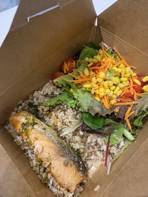 Casa Tropical by null