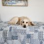 Photo of Greenlin Pet Resorts